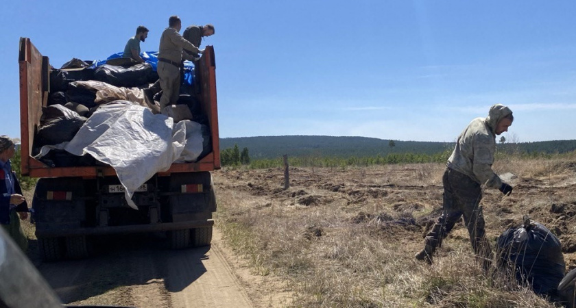 В Приангарье завершилась масштабная экологическая инициатива по оздоровлению лесных массивов