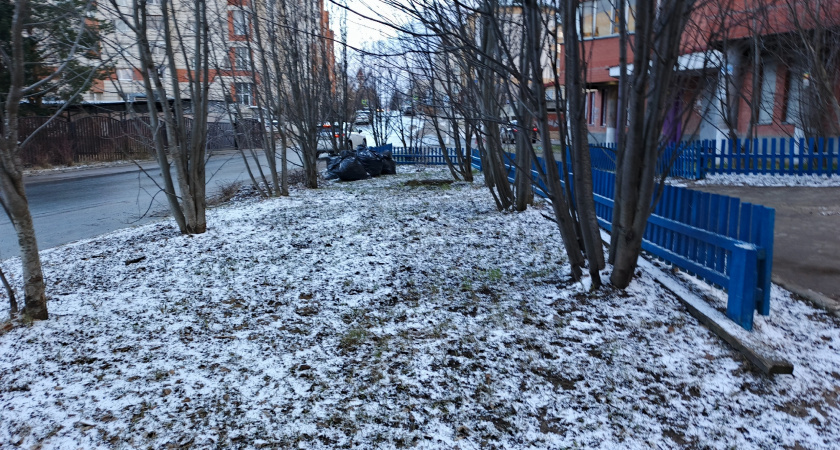«Декабрь будет самым странным в XXI веке». Синоптики сообщили, как начнется зима