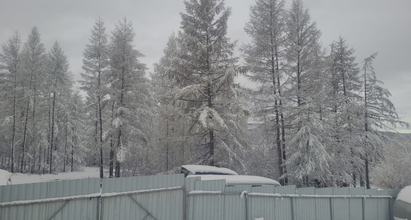 Грядущей зимой прогнозируют нечто, которого не бывало с 1779 года: синоптики сообщили ближайший прогноз