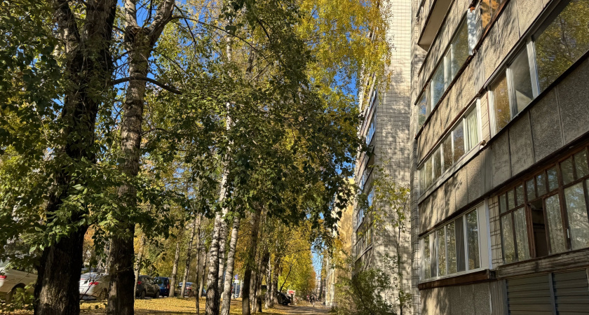 Аномальная погода в России: конец октября будет тёплым - прогноз главного синоптика страны Вильфанд