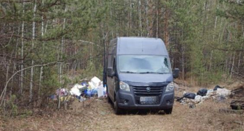 В Иркутской области фотоловушки зафиксировали организатора несанкционированной свалки в лесном массиве