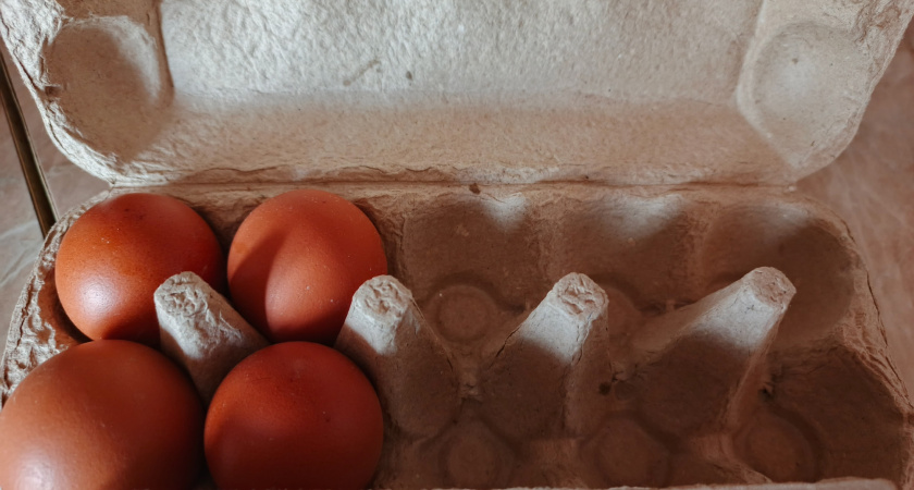 Раскрыт секрет правильного употребления яиц для максимальной пользы вашего организма