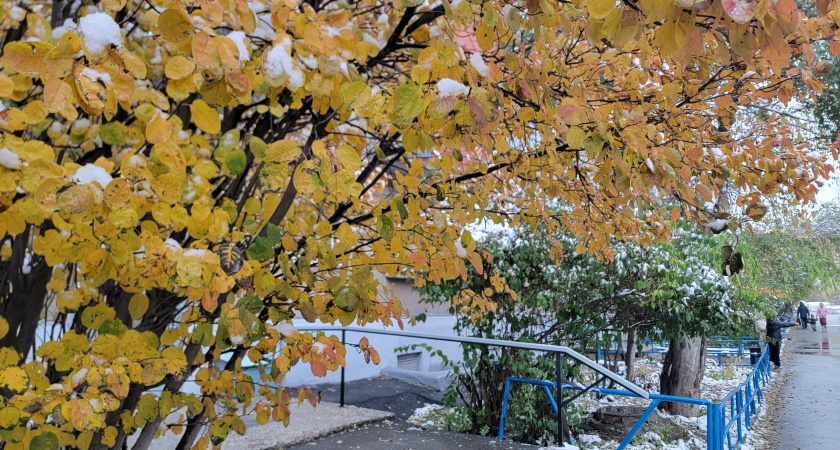 Погодные условия в Иркутской области осложнятся усилением ветра и осадками