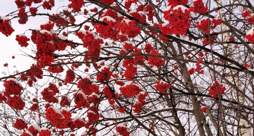 Иркутская область переходит в режим повышенной готовности из-за надвигающегося циклона