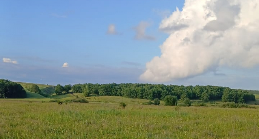 Зима уходит обратно: Вильфанд предупредил россиян о новой волне тепла