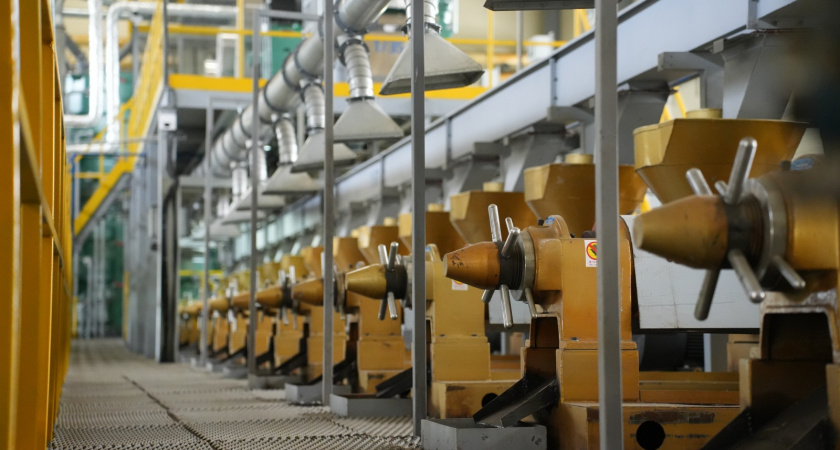 Агропромышленный экспорт Приангарья демонстрирует рекордный рост