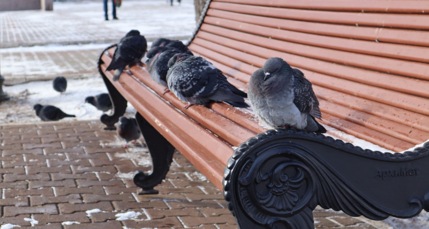 На длинных выходных жителей Иркутской области ждут дожди и заморозки