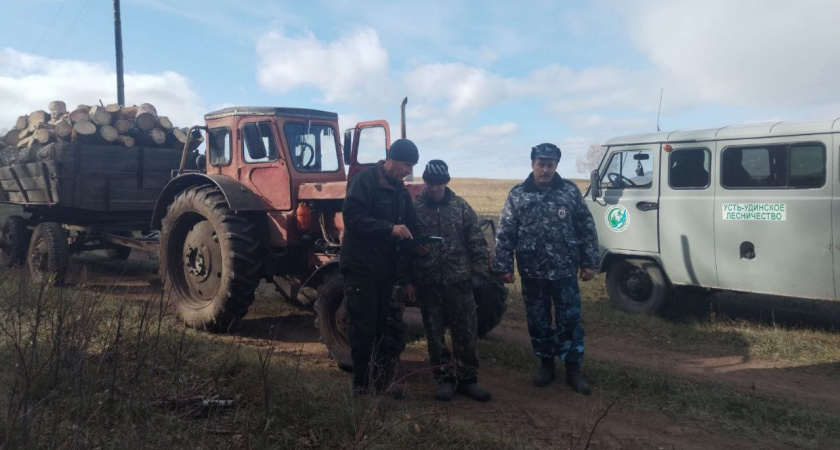 В Иркутской области пресекли незаконную рубку лесов