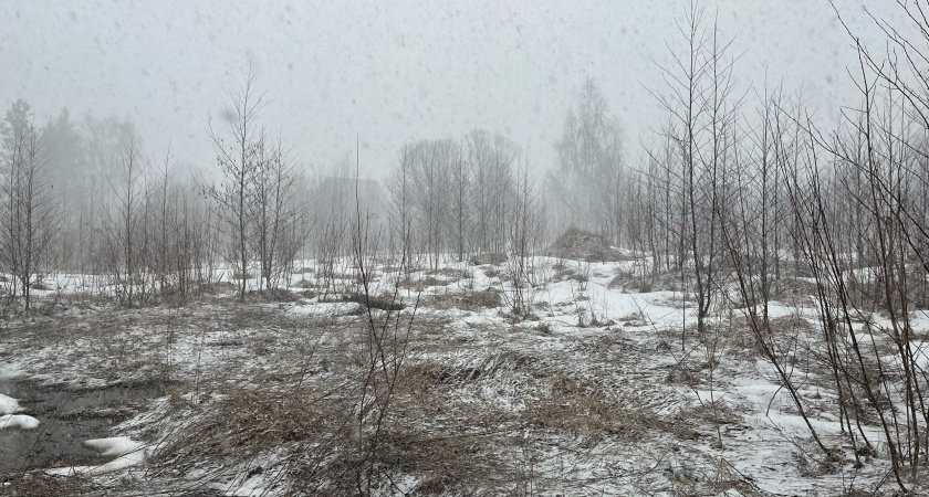 Погода в Иркутской области 4 ноября: мокрый снег, туман и колебания температуры