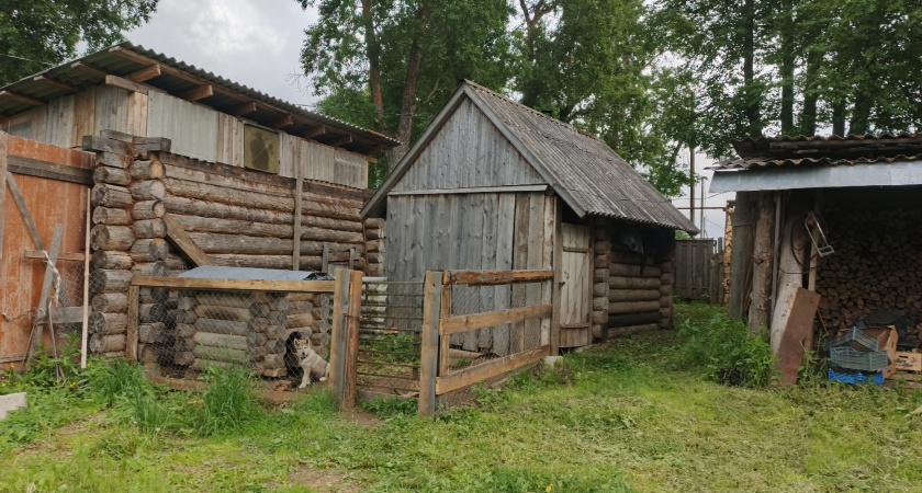 Не минвата и не опилки: вот чем утепляют потолок в бане деревенские гении - намного лучше всех современных материалов