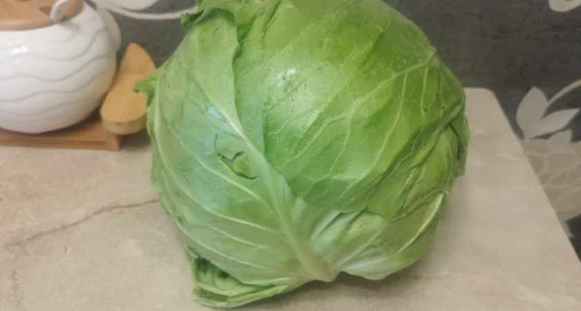 Не квашеная, не соленая - а такая капуста, что все просят рецепт: ее просто по-особому готовят