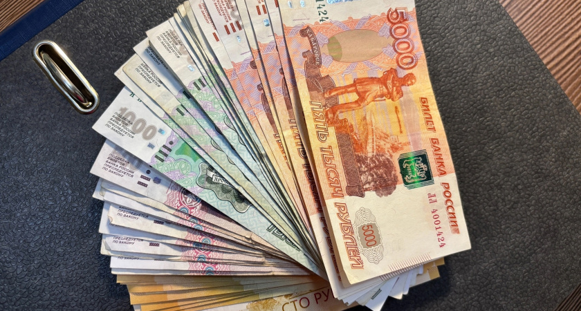 Власти Иркутска заплатят за повреждение машины собаками