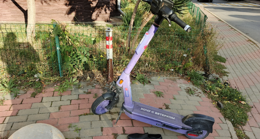 7 полезных вещей для дома, над которыми раньше смеялась, а теперь не могу без них жить