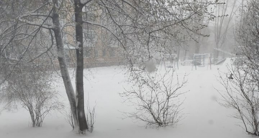 Зима обещает быть аномально холодной: чего нам ждать в 2026 году