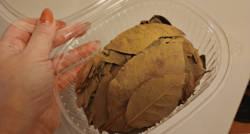 Закопайте лавровый лист в огороде осенью: весной вы обомлеете от эффекта - достаточно сделать лунки по 5 сантиметров