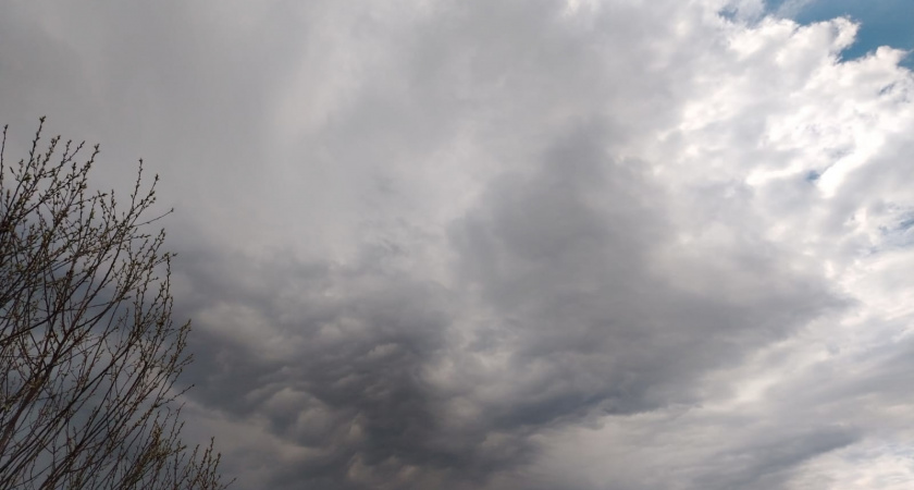 Январские морозы обрушатся на Центральную Россию в этот день: Вильфанд сообщил точную дату