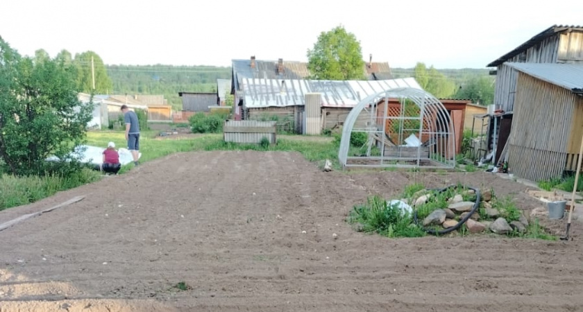 4 удобрения, которые осенью важнее всех - их сыпят прямо по снегу. Полная подготовка к новому сезону