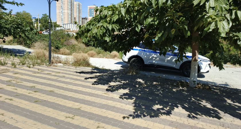 13 лет работаю в ДПС: каких слов добиваются сотрудники от водителя - честно от опытного инспектора