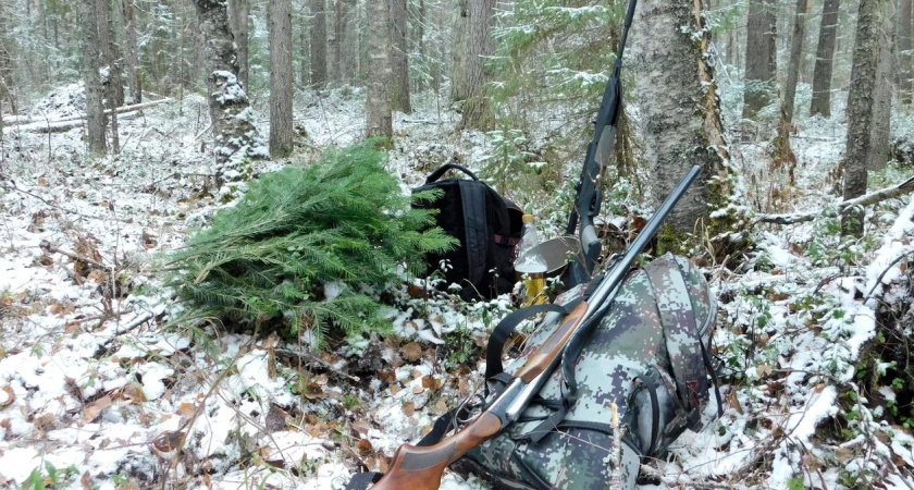 В Иркутской области браконьеры понесут ответственность за убийство косуль