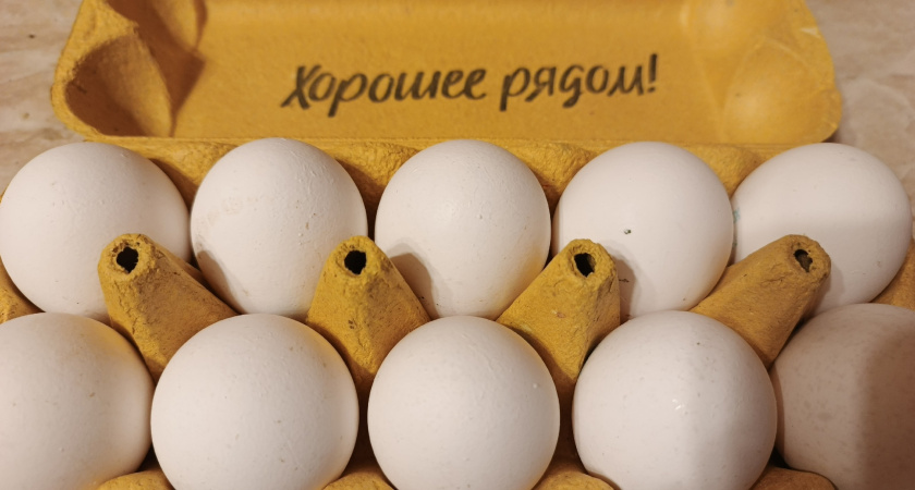 Обходят за версту: почему работники магазинов и птицефабрик никогда не берут яйца категории С0 даже по скидке