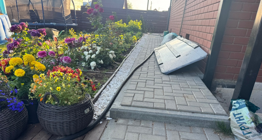 12 очаровательных цветов, которые сеют без рассады: просто украсят любую дачу и сад