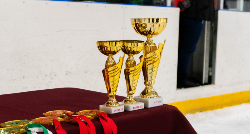 Иркутская область примет всероссийский турнир по дзюдо