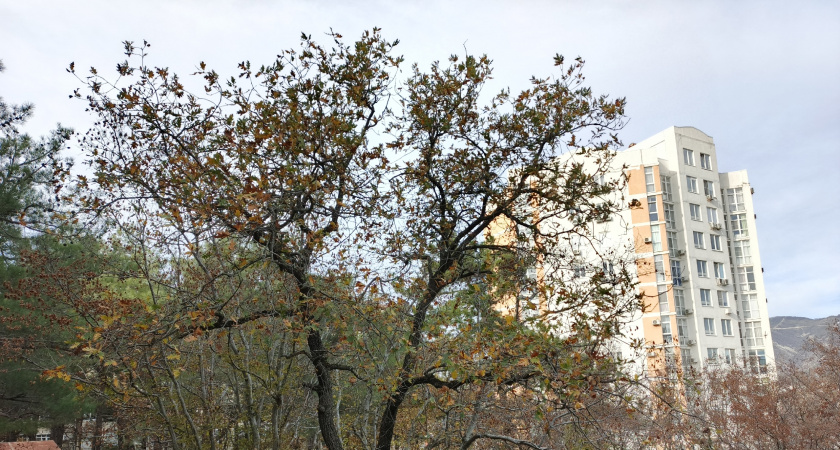 Повторяйте 3 обычных слова в сложных ситуациях: все злые люди будут обходить вас стороной