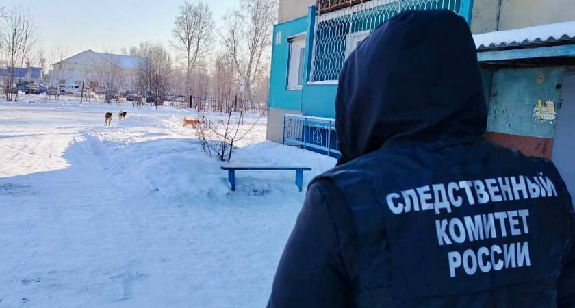 В Иркутской области экс-главу района осудили за халатность в решении проблемы бездомных животных