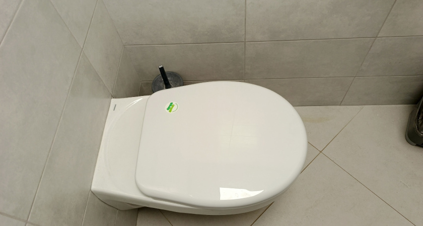 Ложка соли в унитаз: проверяю совет бывшей горничной и наблюдаю, работает ли метод на деле