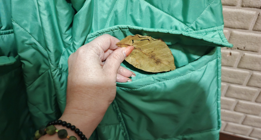 Мудрость предков: зачем нужно класть лавровый лист в карман. Это надо знать каждому