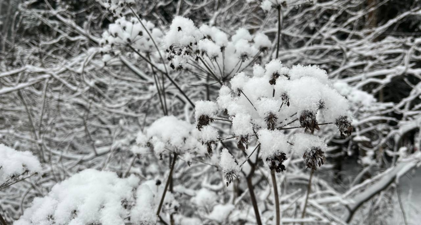 "Зимний шторм" обрушится на Иркутскую область: будьте осторожны на дорогах