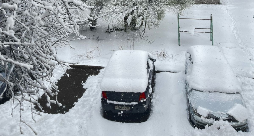 Когда ждать морозов и снега: синоптик Вильфанд сообщил, когда наступит настоящая зима