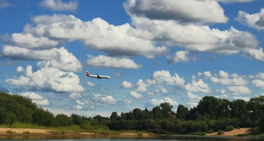 Заведите привычку благодарить: психологи рассказывают, как это работает с нашим мозгом