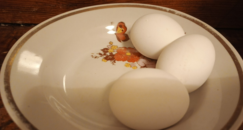 Вареные яйца нельзя класть в холодную воду - запомните раз и на всю жизнь. Вот как надо