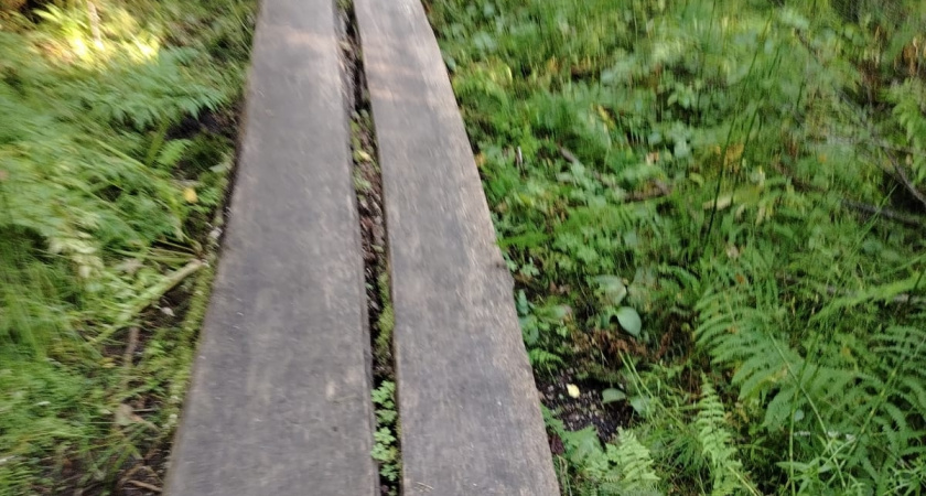 Бетон и плитка - это уже прошлый век: просто прибил доски к трубам — круче и лучше садовой дорожки ни у кого нет