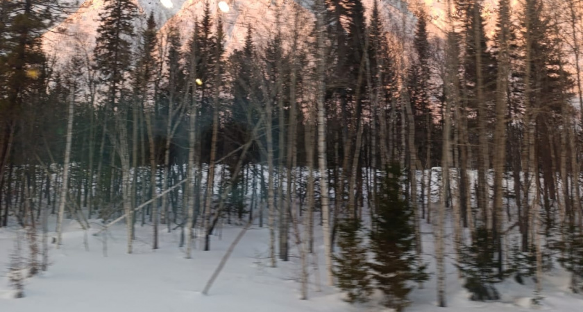 Синоптики сообщили новый прогноз: чего ждать от зимы 2025–2026 — будет ли снег, морозы и когда наступит настоящая зима