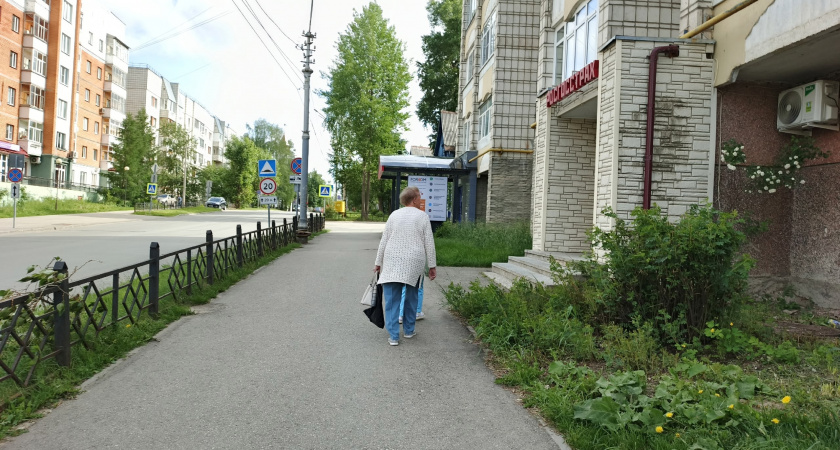 Стихотворение Ларисы Рубальской, которое помогает принять жизнь такой, какая она есть в действительности