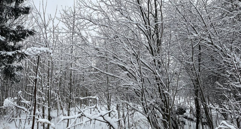 В Иркутской области 6 декабря ожидаются сильный ветер, снег и метели