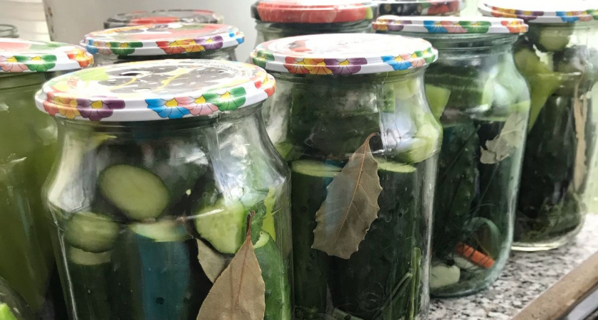 Настоящие русские соленые огурцы: классический рецепт холодной засолки как на Руси - хрустят и без кипячения