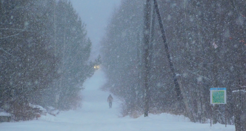 Синоптики предсказывают метель в Иркутской области: прогноз на 7 декабря