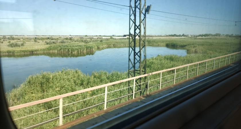 Признания проводницы РЖД: за занавесками в плацкарте охи-вздохи, и каждый рейс у пассажиров что-нибудь воруют