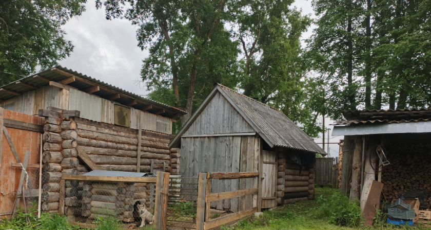 Соседи годами ходили к нам в баню: а когда построили свою, то не пустили к себе - о причинах мы поняли потом