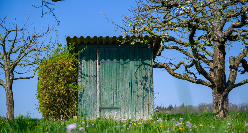Больше не мучаюсь с откачиванием сливной ямы! Дед подсказал простое средство, которое быстро решает проблему