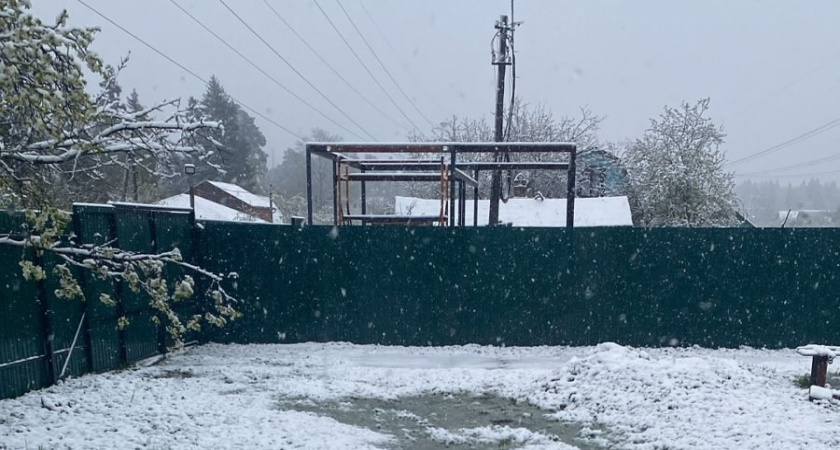 «Январь и февраль дадут нам прикурить». Синоптики сообщили, к чему готовиться