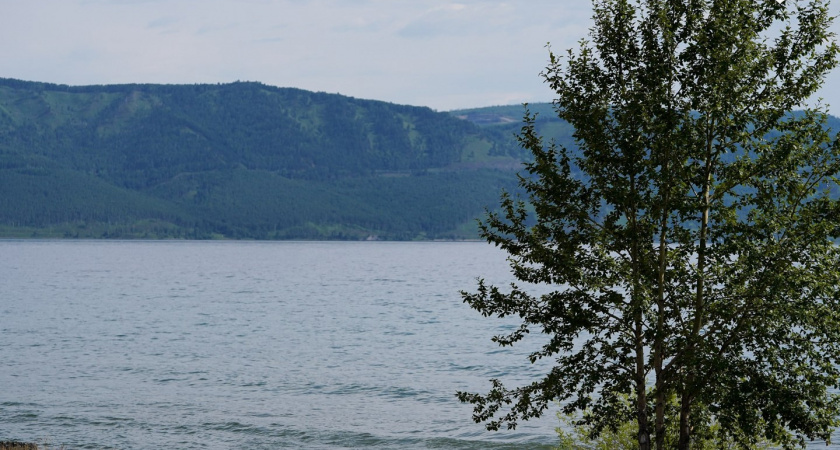 В Госдуме приняли закон, разрешающий сплошные рубки леса на Байкале