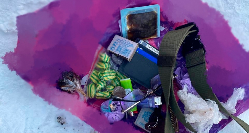 В Иркутской области задержали закладчицу, маскировавшую тайник с наркотиками