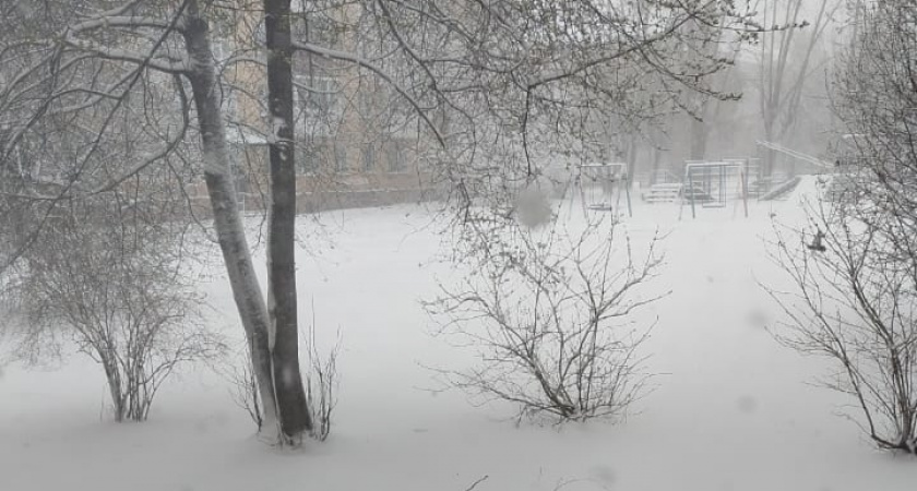 "Эта зима будет самой странной за последние 200 лет": синоптики сообщили, к чему готовиться