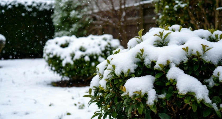 «Новый год даст нам всем прикурить». Синоптики сообщили, к чему готовиться