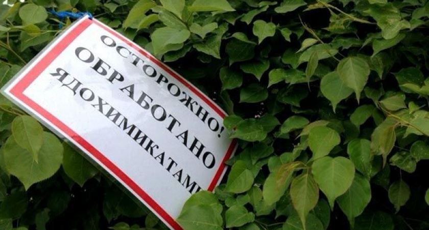 Россельхознадзор выявил сотни нарушений при использовании пестицидов в Иркутской области