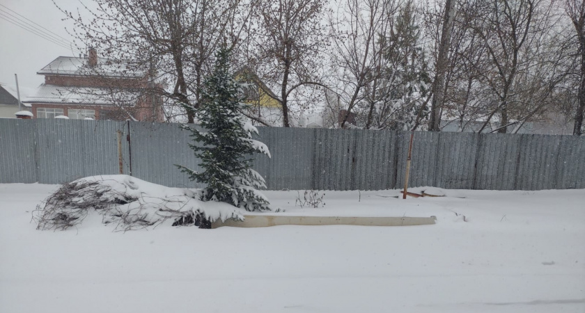 Эксперты рассказали, как аномально теплая зима может повлиять на урожай 2026 года